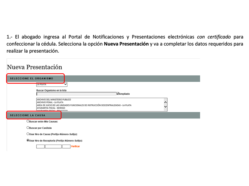 Cómo confeccionar cédulas