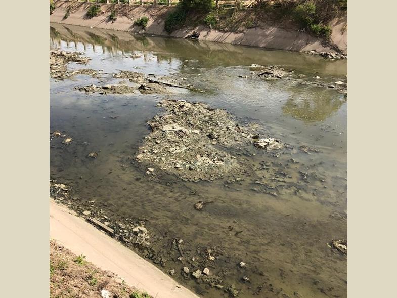 Arroyo Claro. Realizaron muestreos para analizar contaminación