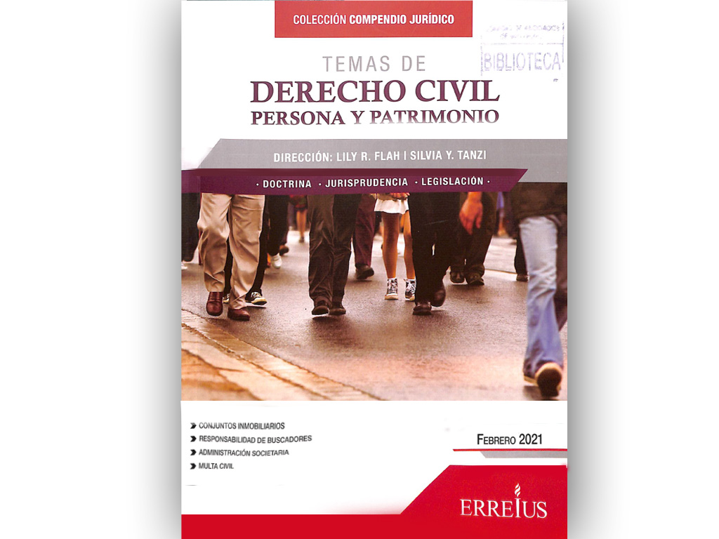 Temas de Derecho Civil Persona y Patrimonio