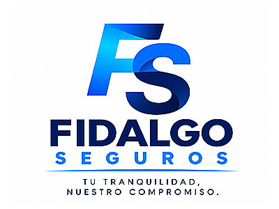 GRUPO FIDALGO SEGUROS
