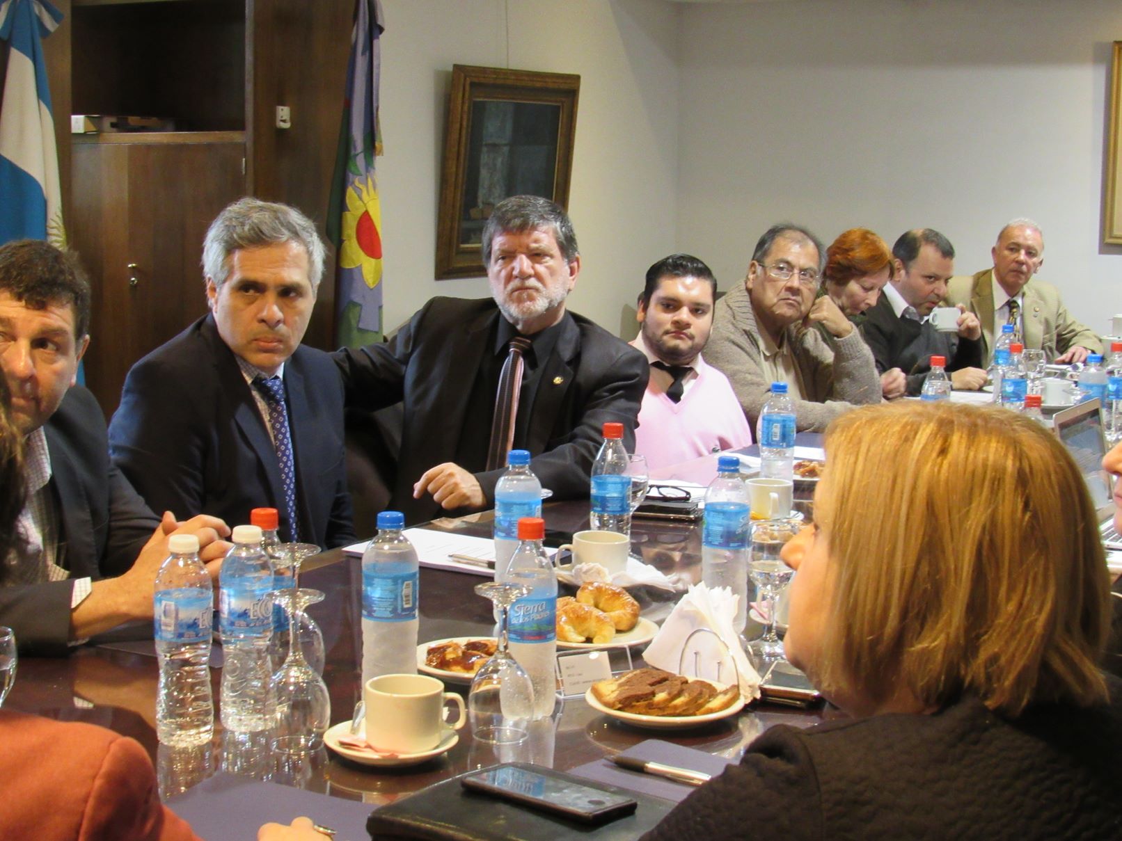 COLPROBA Comisión de Discapacidad, sesión en el Colegio de Abogados de San Isidro, 14 de junio de 2019