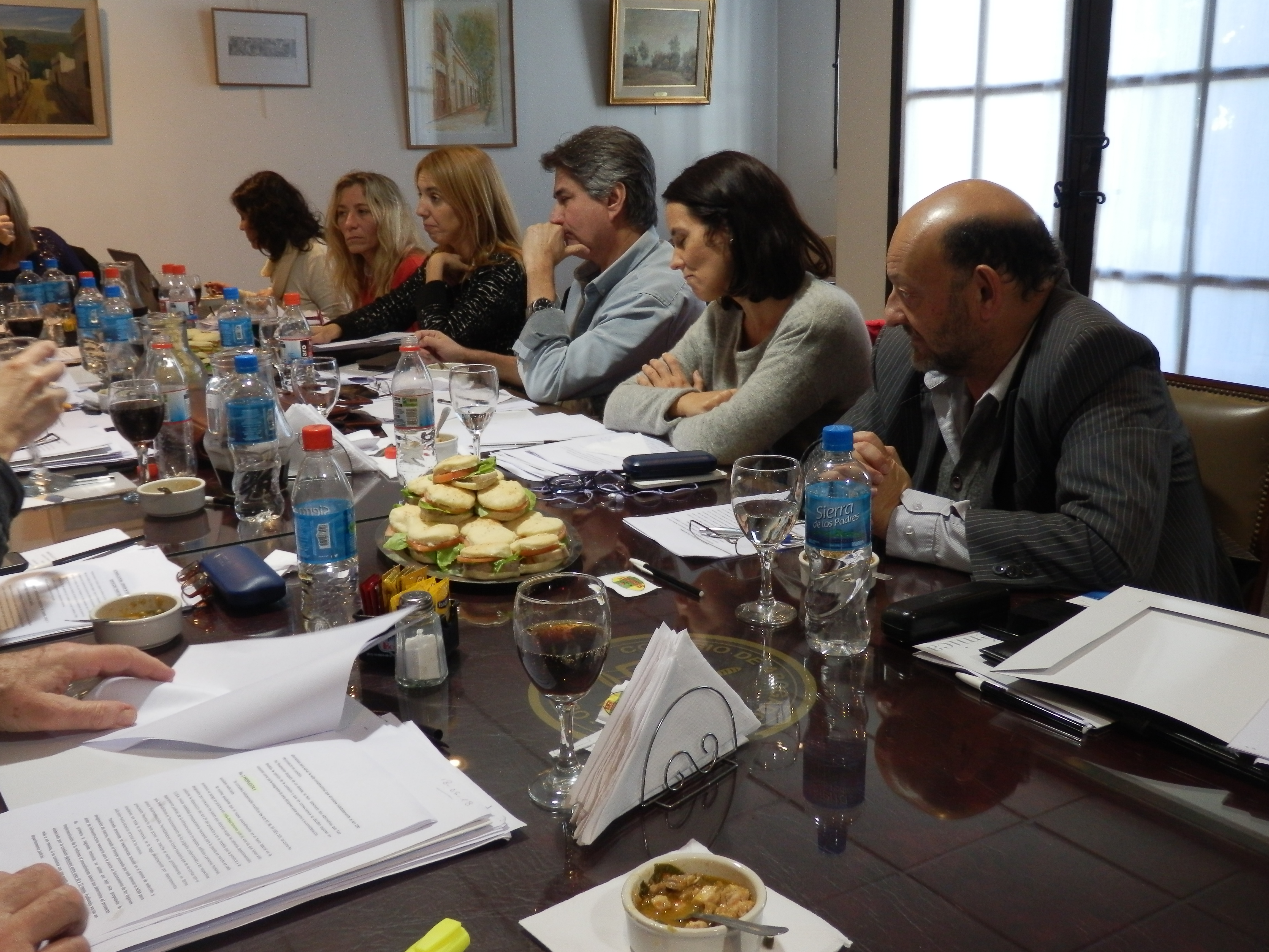 Comisión de Estudio Reforma del Proc. Laboral. COLPROBA. San Isidro, 18/5/18