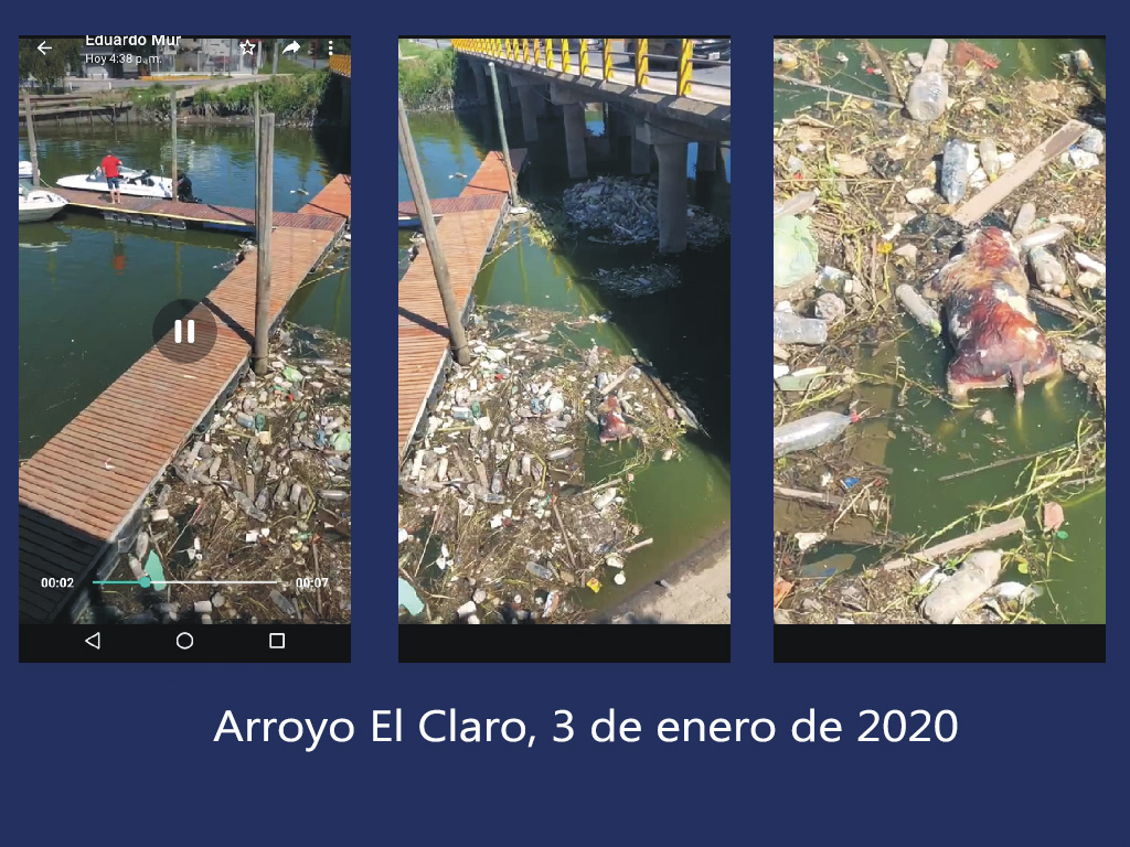 Arroyo El Claro, 3 de enero de 2020