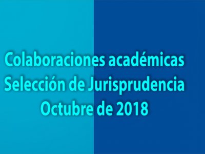 Colaboraciones académicas y selección de jurisprudencia, XX aniversario Defensoría del Niño