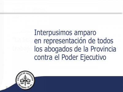 Interpusimos amparo en representación de todos los abogados de la Provincia contra el Poder Ejecutivo