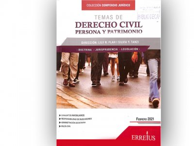 Temas de Derecho Civil Persona y Patrimonio