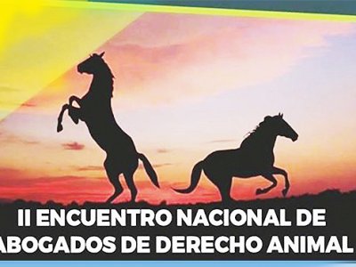 II Encuentro Nacional de Abogados de Derecho Animal. Conclusiones y acuerdos