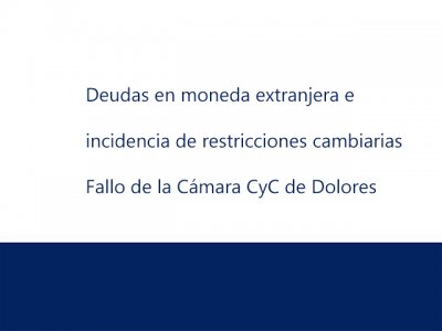 Deudas en moneda extranjera e incidencia de las restricciones cambiarias. Pronunciamiento de la Cámara de Dolores