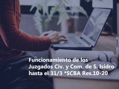 Funcionamiento de los J. Civ. y Com. de San Isidro