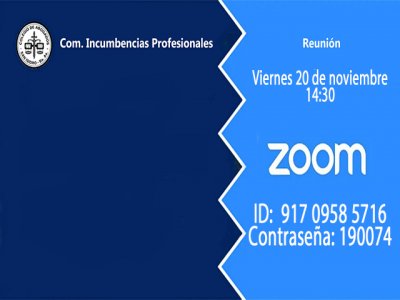 Reunión: viernes 20 de noviembre de 2020, 14:30