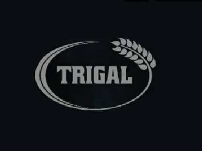Trigal Trigal