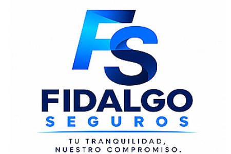 GRUPO FIDALGO SEGUROS