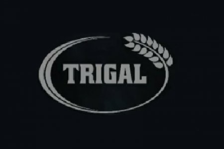Trigal